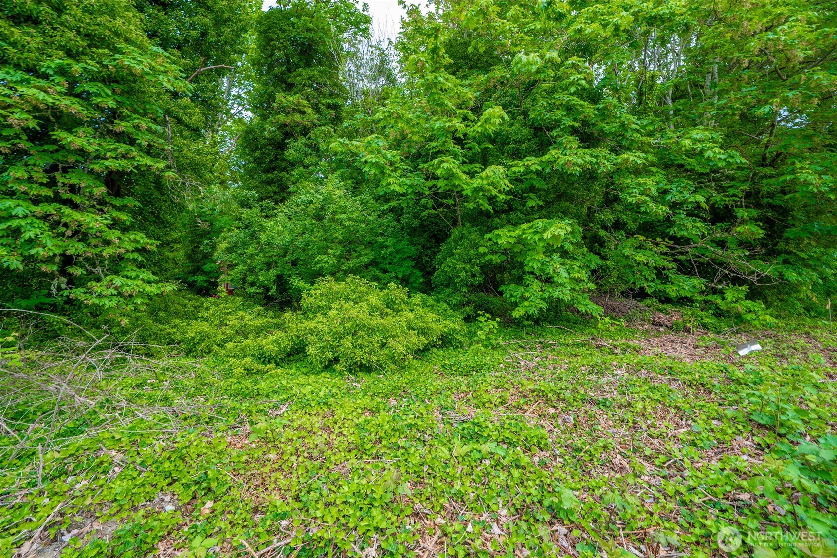 5445 Hyada Boulevard NE Tacoma WA 98422