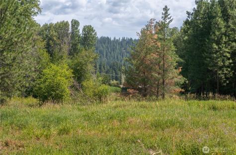 3 Nelson Siding Road Cle Elum WA 98922