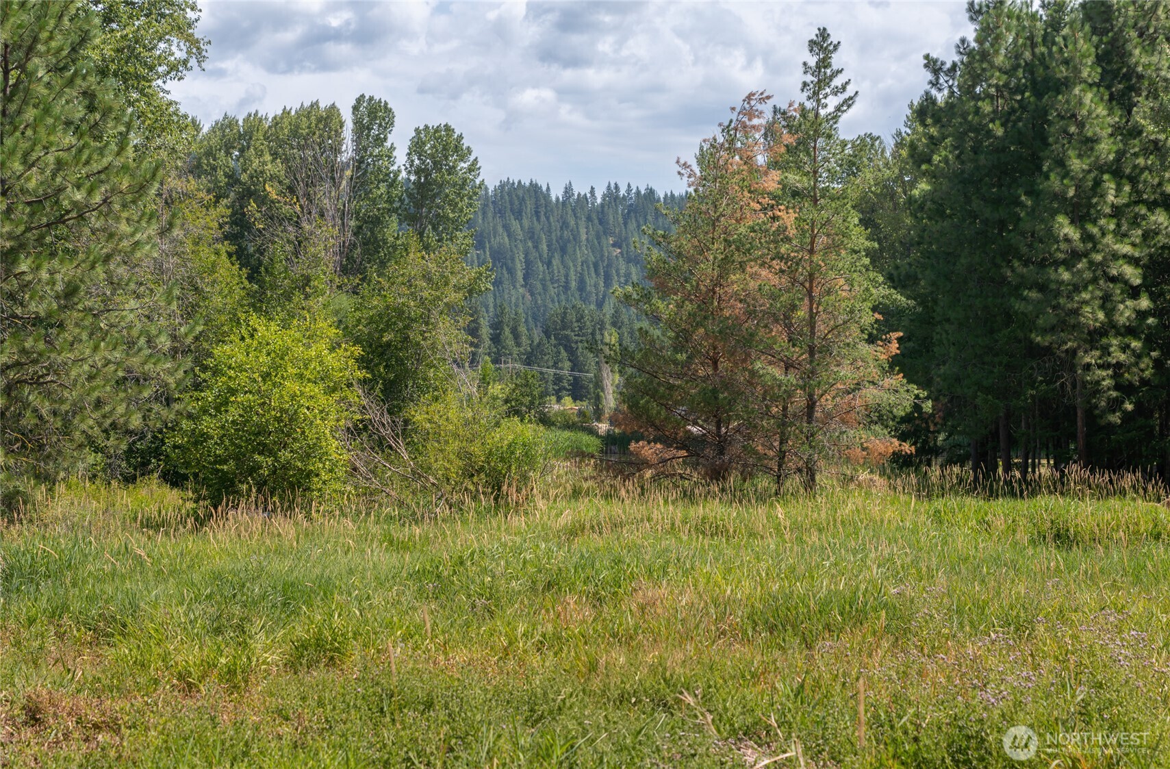 3 Nelson Siding Road Cle Elum WA 98922