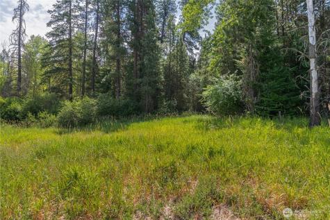 3 Nelson Siding Road Cle Elum WA 98922