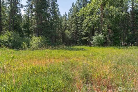 3 Nelson Siding Road Cle Elum WA 98922