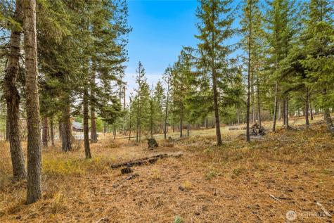 24 Old Grove Trail Cle Elum WA 98922