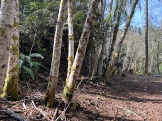61 E Woods Place Belfair WA 98528