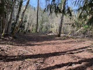 61 E Woods Place Belfair WA 98528