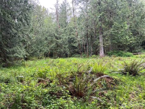 1 51ST Preston WA 98050