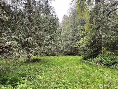 1 SE 51st Street Preston WA 98050