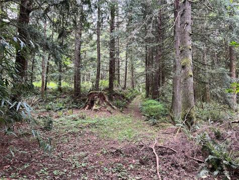 1 SE 51st Street Preston WA 98050