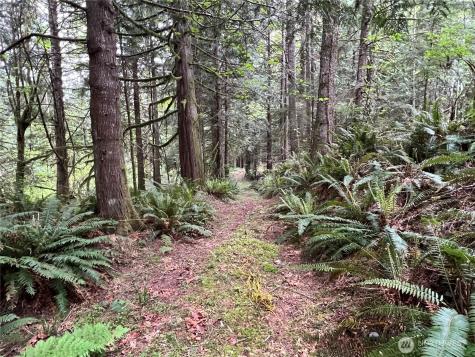 1 SE 51st Street Preston WA 98050