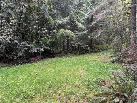 1 SE 51st Street Preston WA 98050