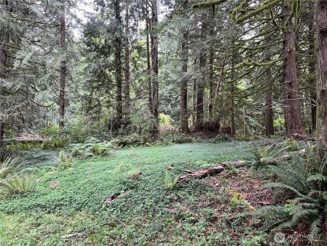 1 SE 51st Street Preston WA 98050