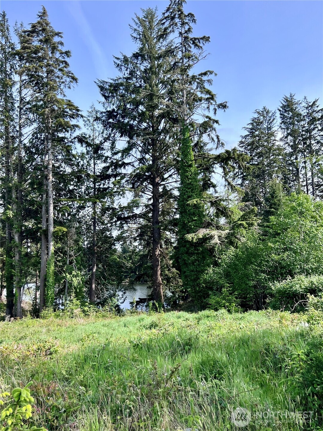 10 Sunrise Lane South Bend WA 98586