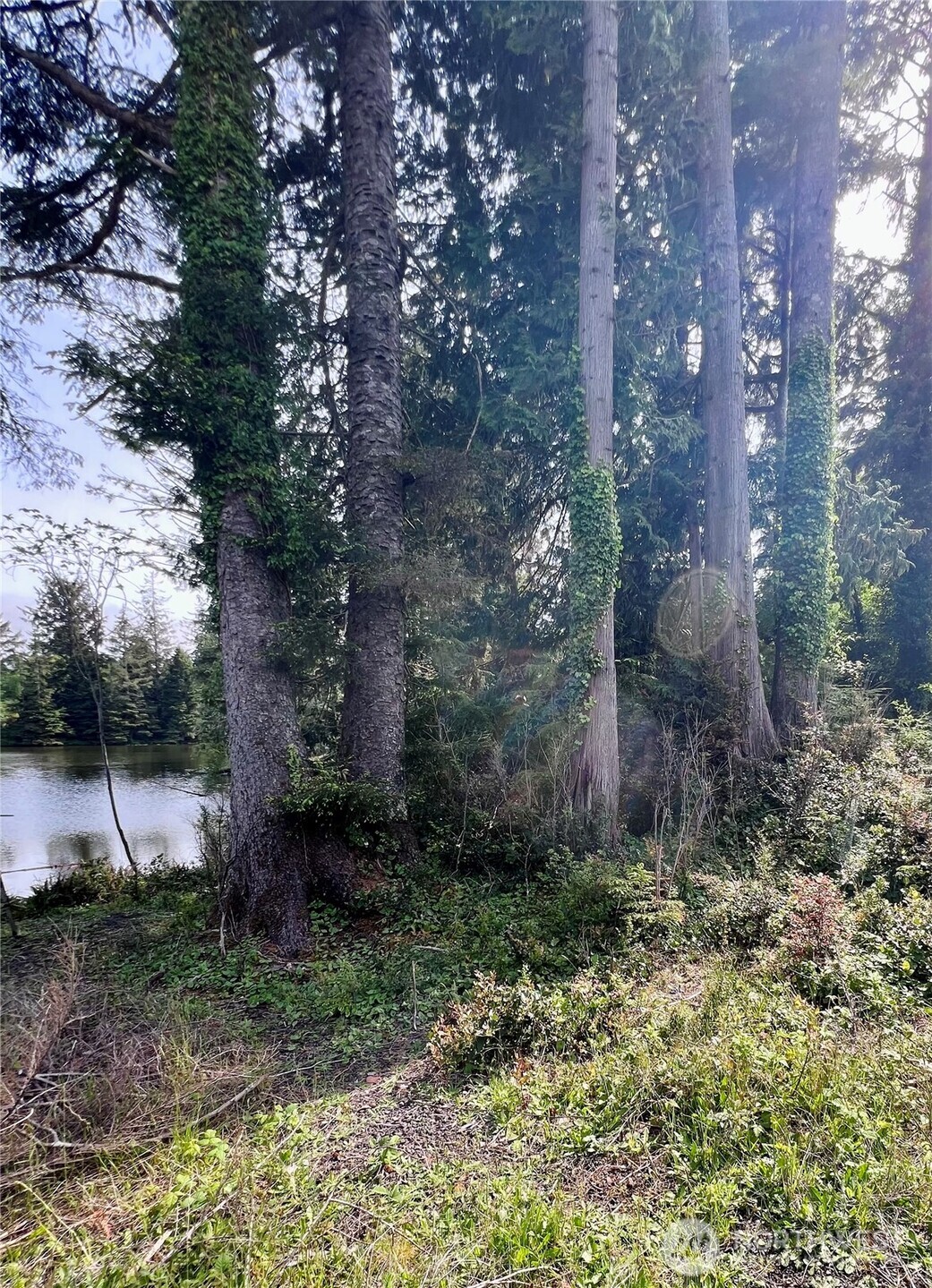 10 Sunrise Lane South Bend WA 98586
