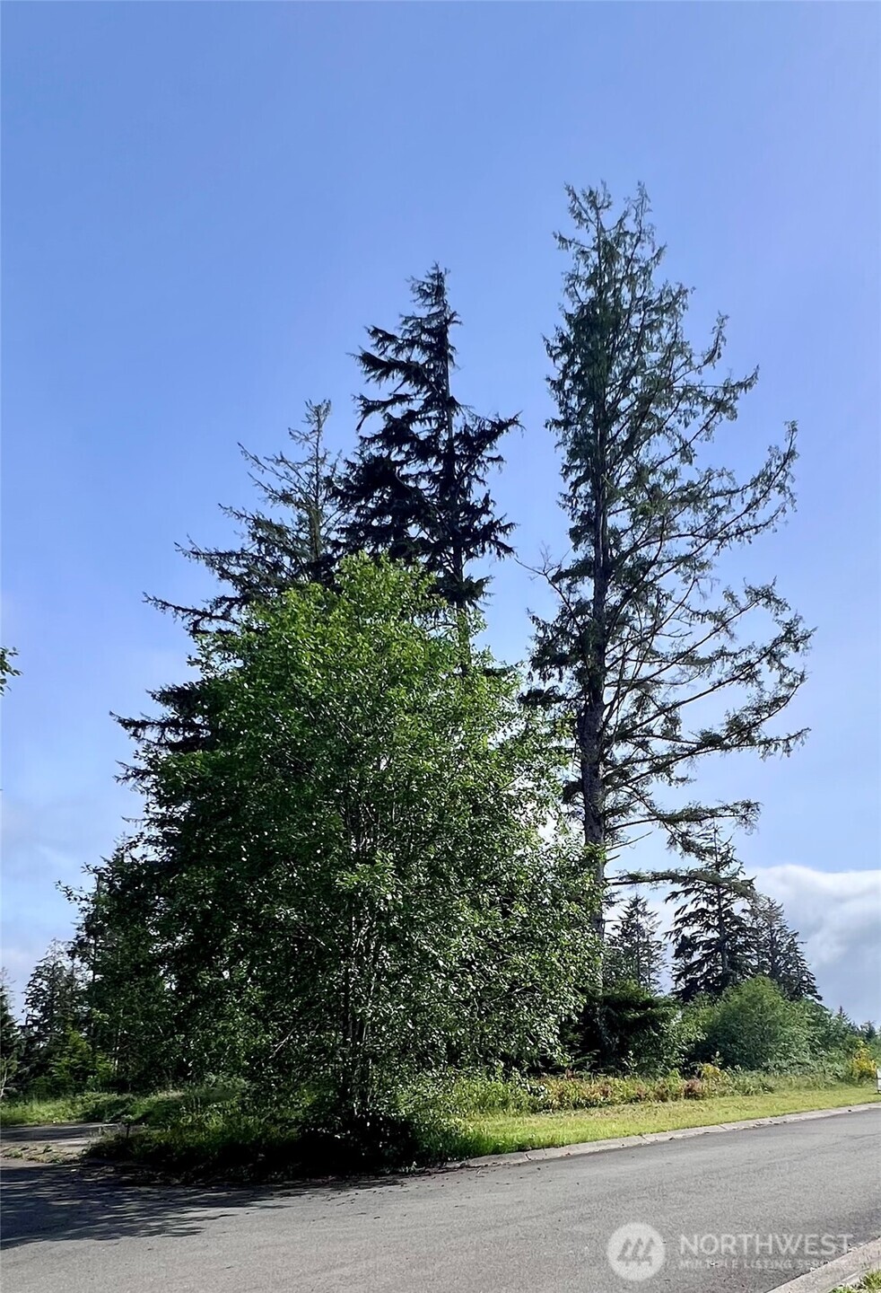 10 Sunrise Lane South Bend WA 98586