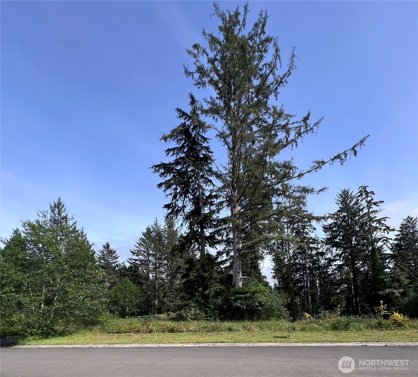 10 Sunrise Lane South Bend WA 98586