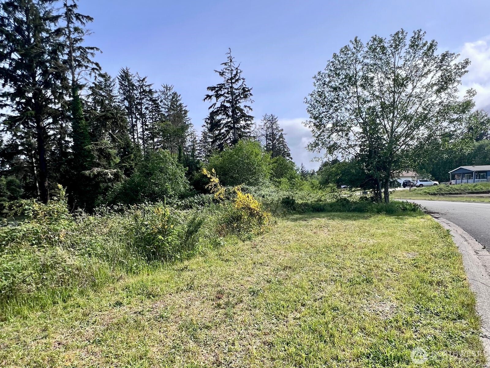 10 Sunrise Lane South Bend WA 98586