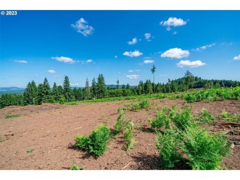 0 S Silver Lake Lot #4 Road Castle Rock WA 98611