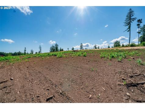 0 S Silver Lake Lot #4 Road Castle Rock WA 98611