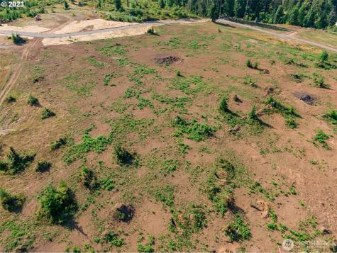 0 S Silver Lake Lot #4 Road Castle Rock WA 98611