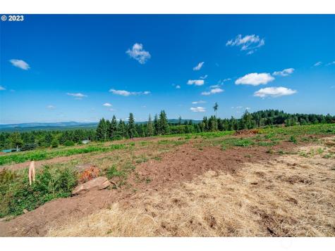 0 S Silver Lake Lot #4 Road Castle Rock WA 98611