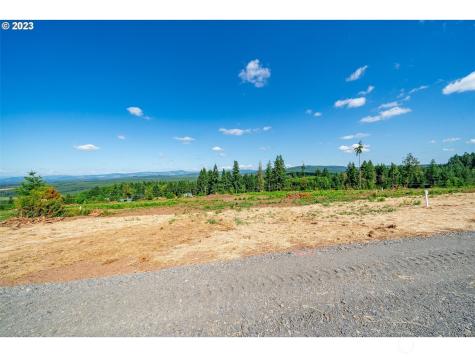 0 S Silver Lake Lot #4 Road Castle Rock WA 98611