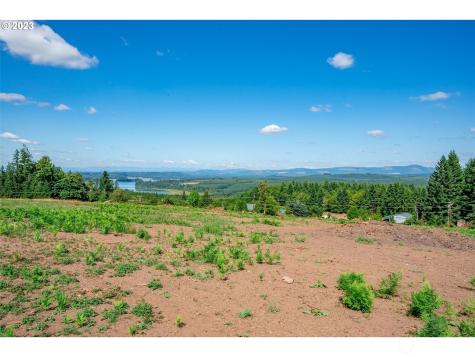 0 S Silver Lake Lot #4 Road Castle Rock WA 98611