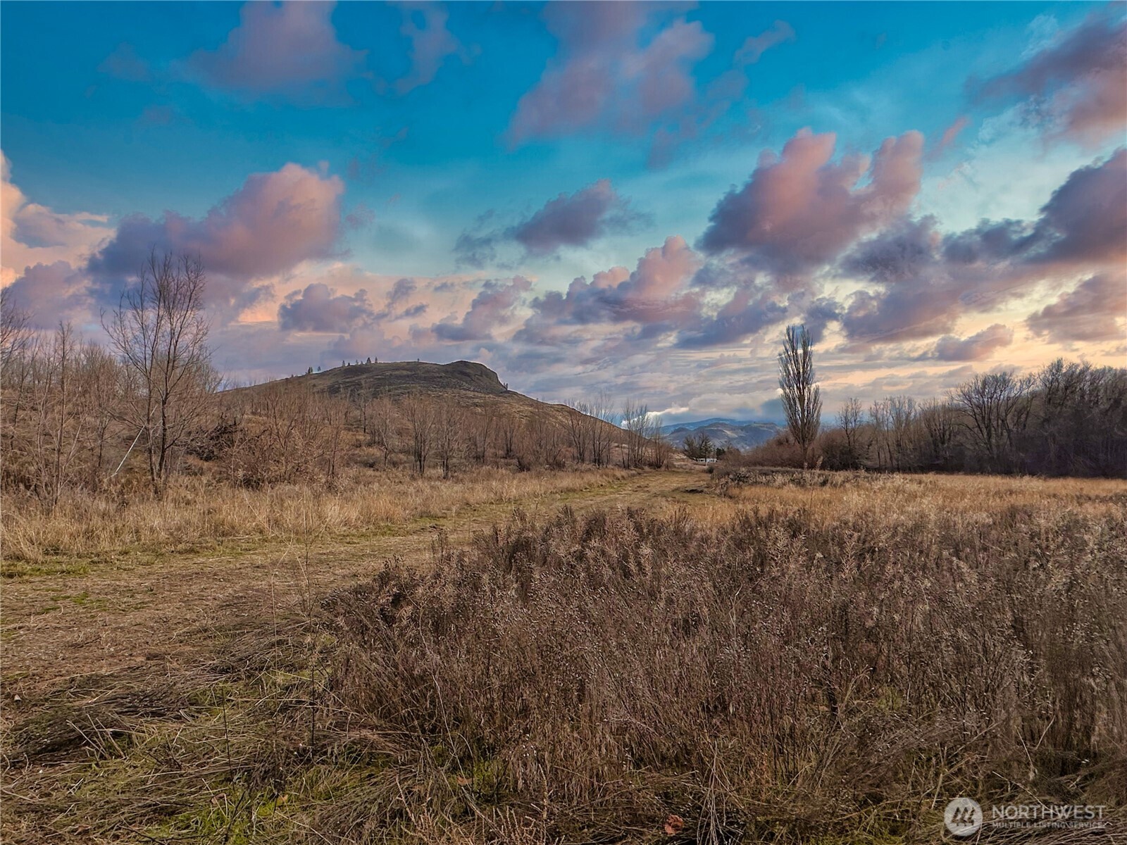 407 Tbd Eastlake Road Oroville WA 98844