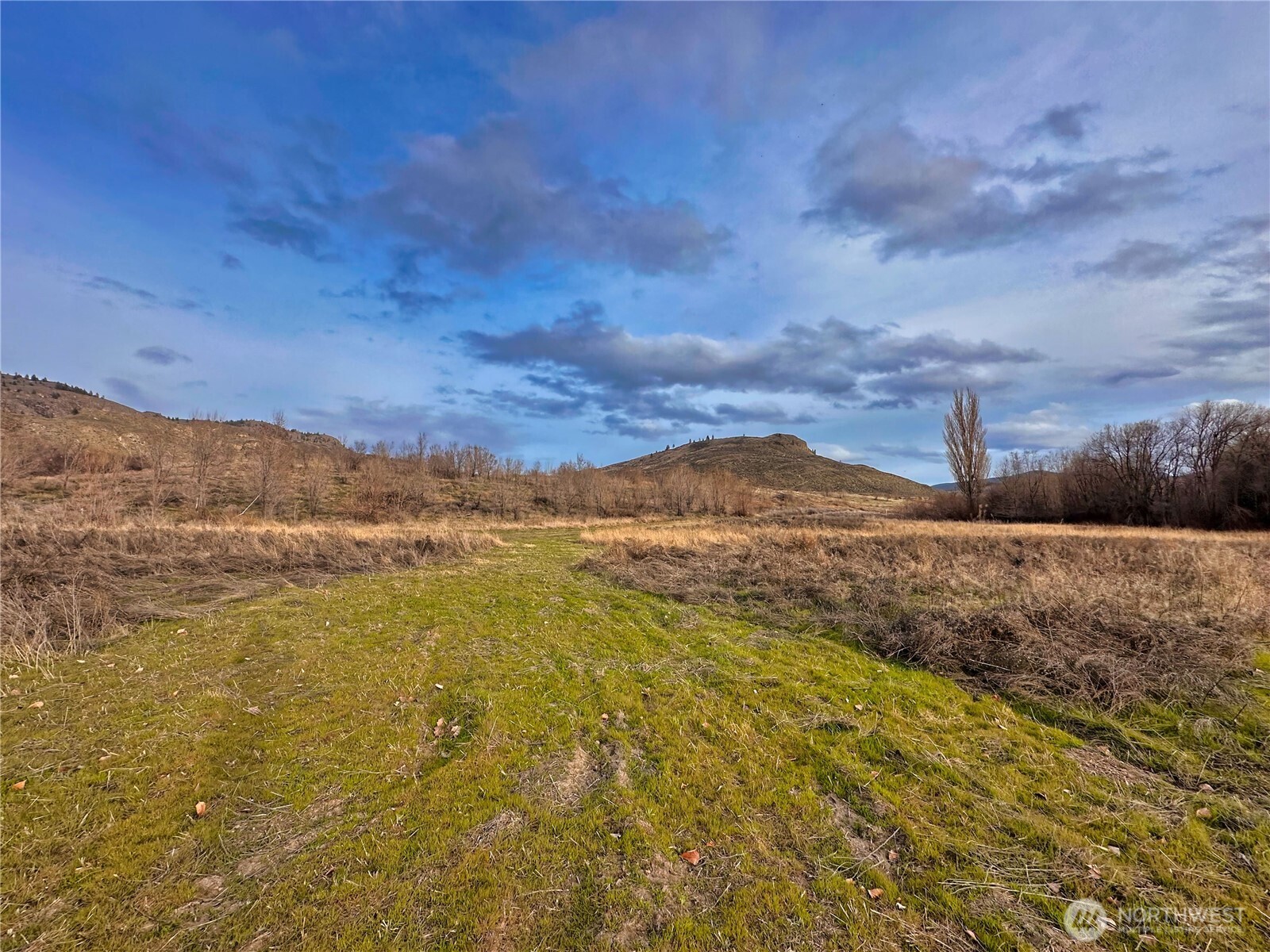 407 Tbd Eastlake Road Oroville WA 98844
