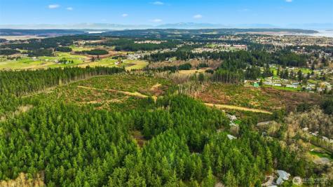 0 Swantown Road Oak Harbor WA 98277