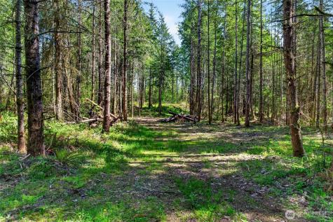 28461 Mountain Highway E Graham WA 98338