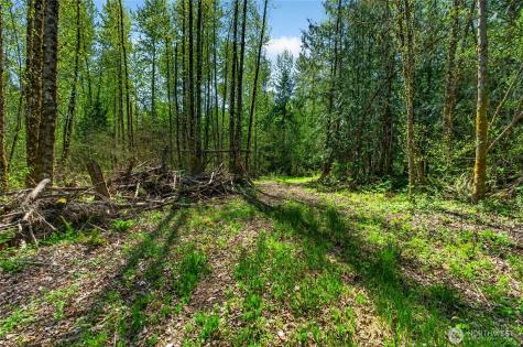 28461 Mountain Highway E Graham WA 98338