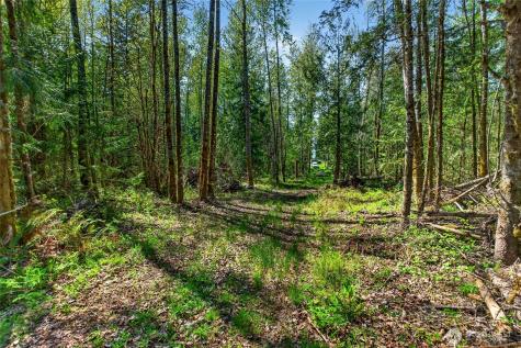 28461 Mountain Highway E Graham WA 98338