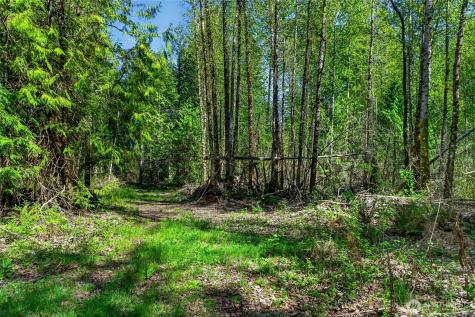 28461 Mountain Highway E Graham WA 98338
