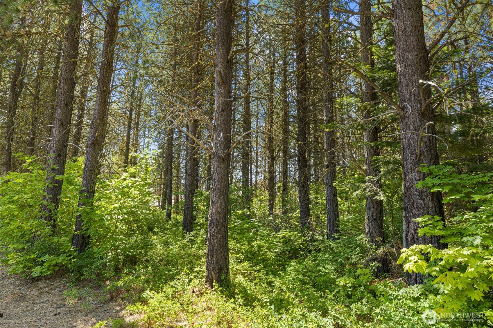 831 Iron Monarch Loop Cle Elum WA 98922