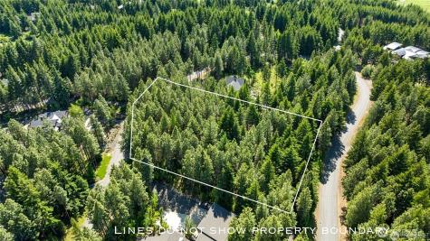 831 Iron Monarch Loop Cle Elum WA 98922