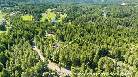 831 Iron Monarch Loop Cle Elum WA 98922