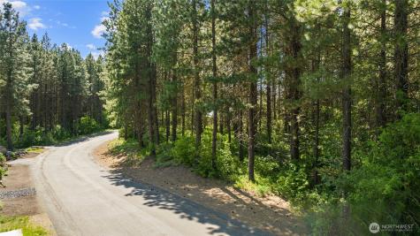 831 Iron Monarch Loop Cle Elum WA 98922