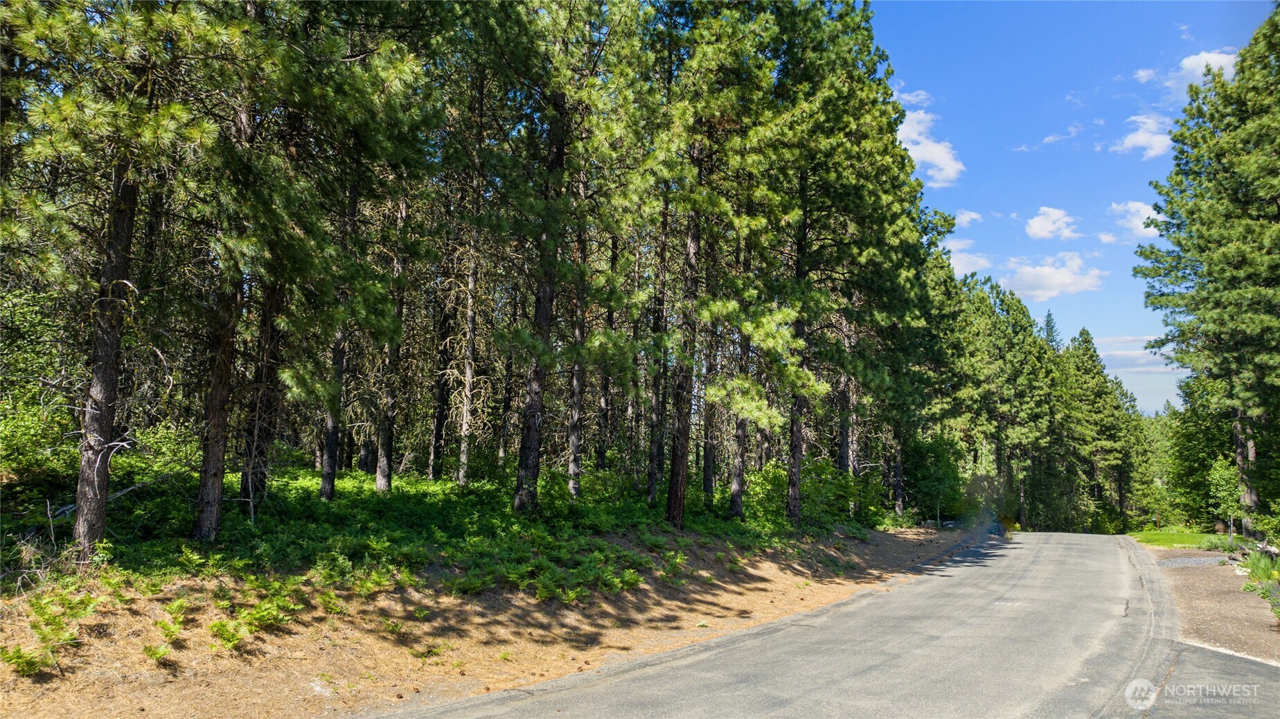 831 Iron Monarch Loop Cle Elum WA 98922