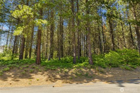 831 Iron Monarch Loop Cle Elum WA 98922