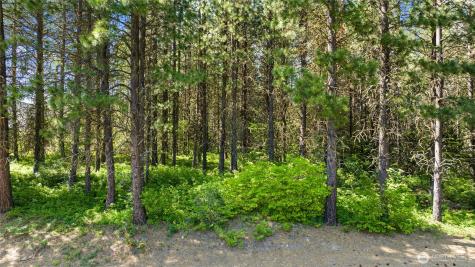 831 Iron Monarch Loop Cle Elum WA 98922