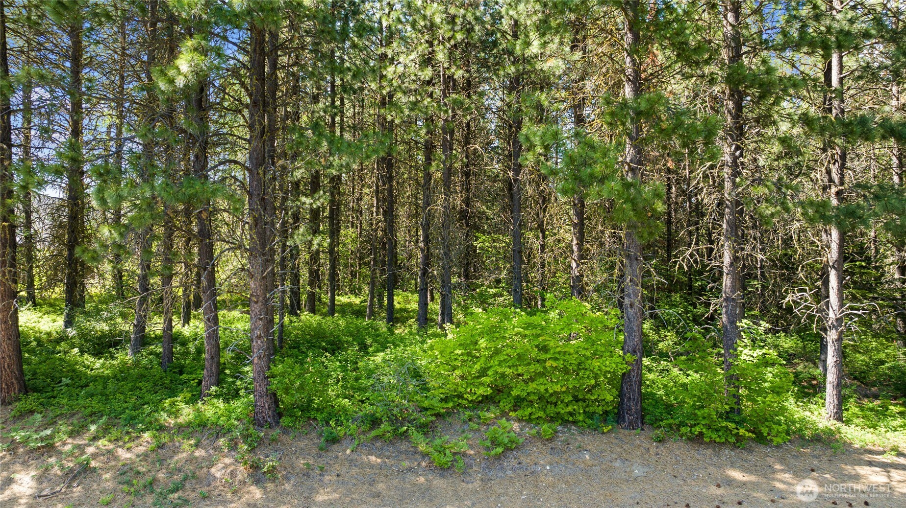 831 Iron Monarch Loop Cle Elum WA 98922