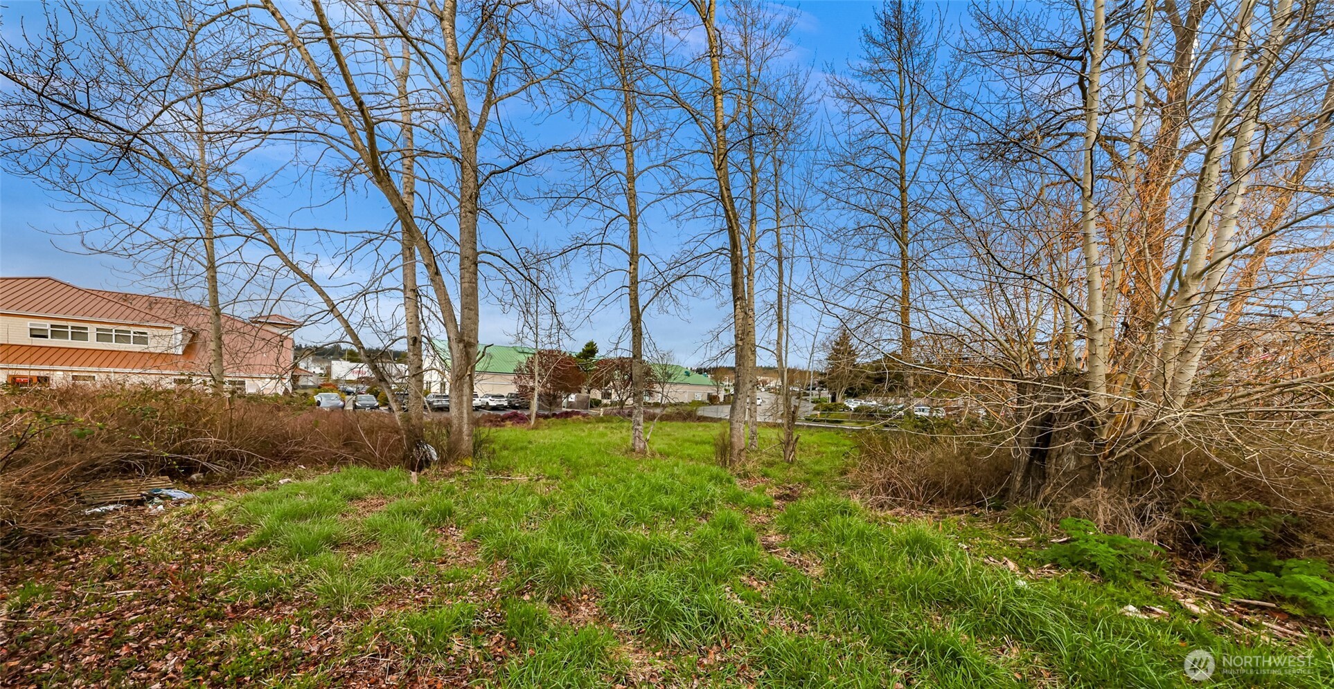 427 SE Ely Street Oak Harbor WA 98277