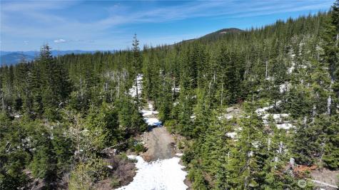 0 Spirit Lake Highway Skamania WA 98648