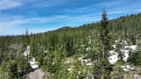 0 Spirit Lake Highway Skamania WA 98648