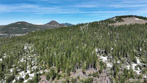 0 Spirit Lake Highway Skamania WA 98648