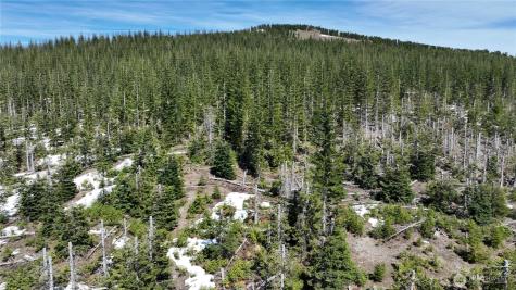 0 Spirit Lake Highway Skamania WA 98648