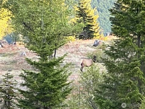 0 Spirit Lake Highway Skamania WA 98648