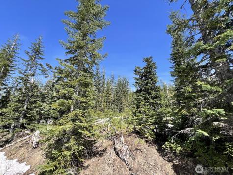 0 Spirit Lake Highway Skamania WA 98648