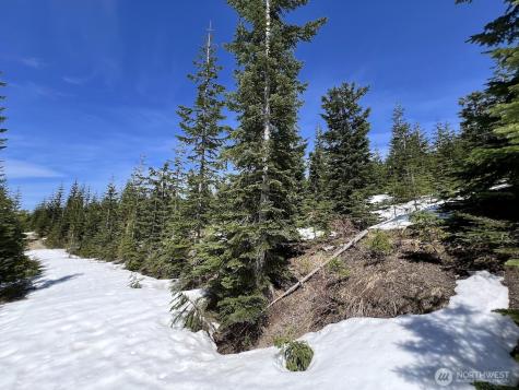 0 Spirit Lake Highway Skamania WA 98648