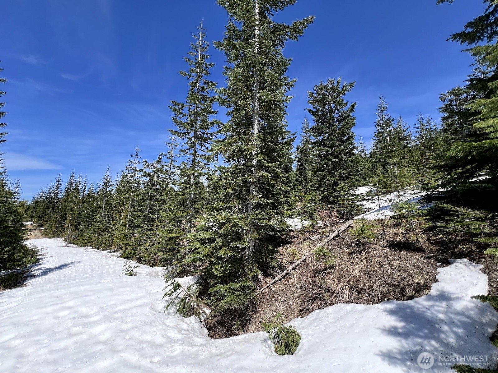 0 Spirit Lake Highway Skamania WA 98648