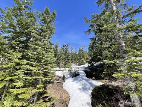 0 Spirit Lake Highway Skamania WA 98648